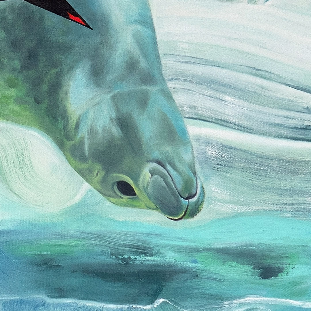 A Polar Dream - SOLD 🔴