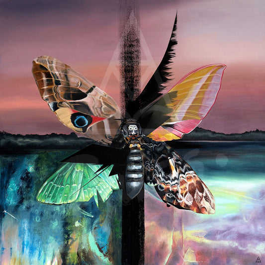 A Moth's Dream - SOLD 🔴