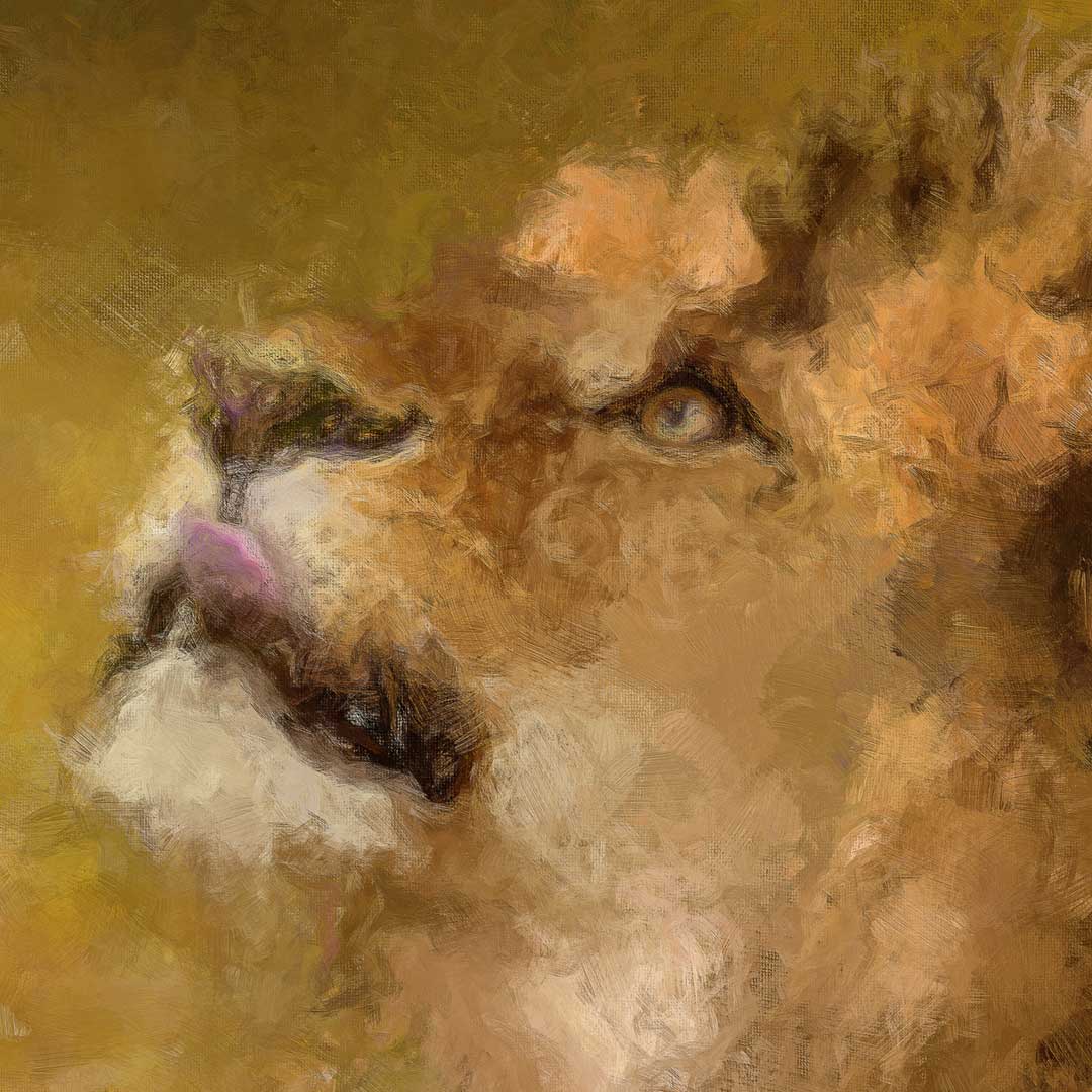 Anna and the Lion - Fine Art Print