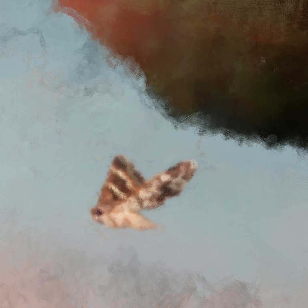 The Moth and Ever Wrest | Fine Art Print