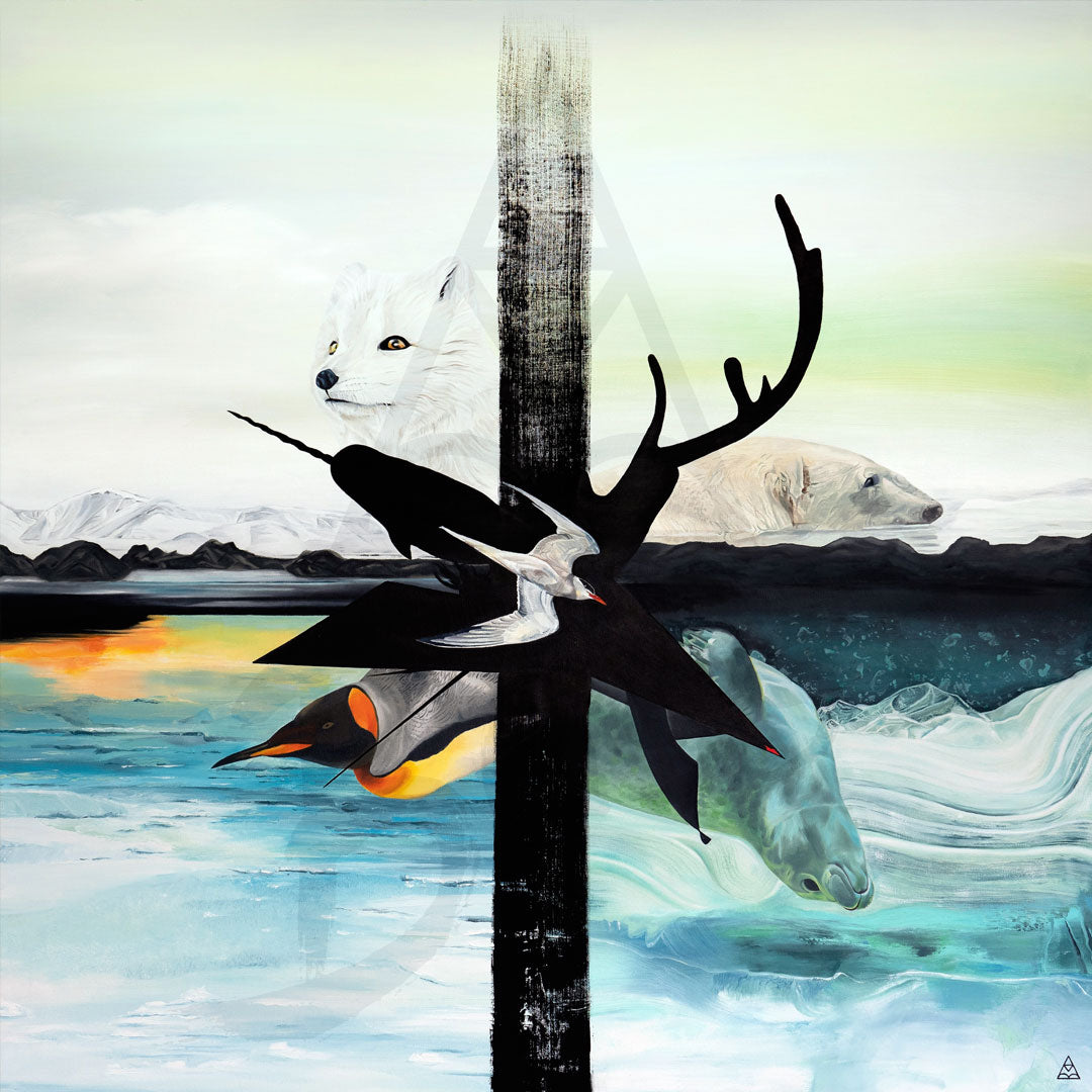 A Polar Dream - SOLD 🔴