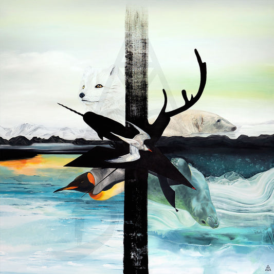 A Polar Dream - SOLD 🔴