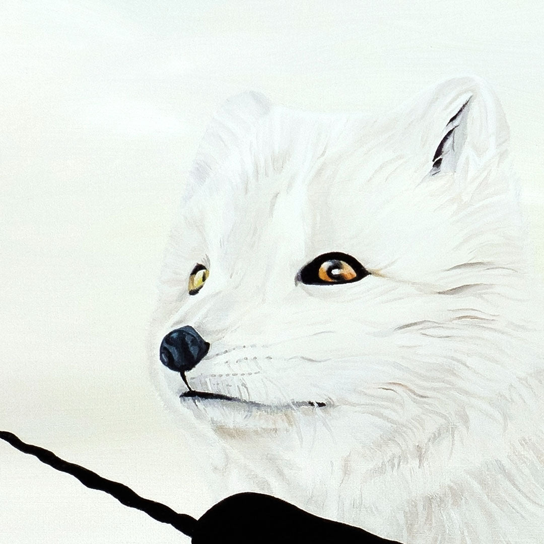 A Polar Dream - SOLD 🔴