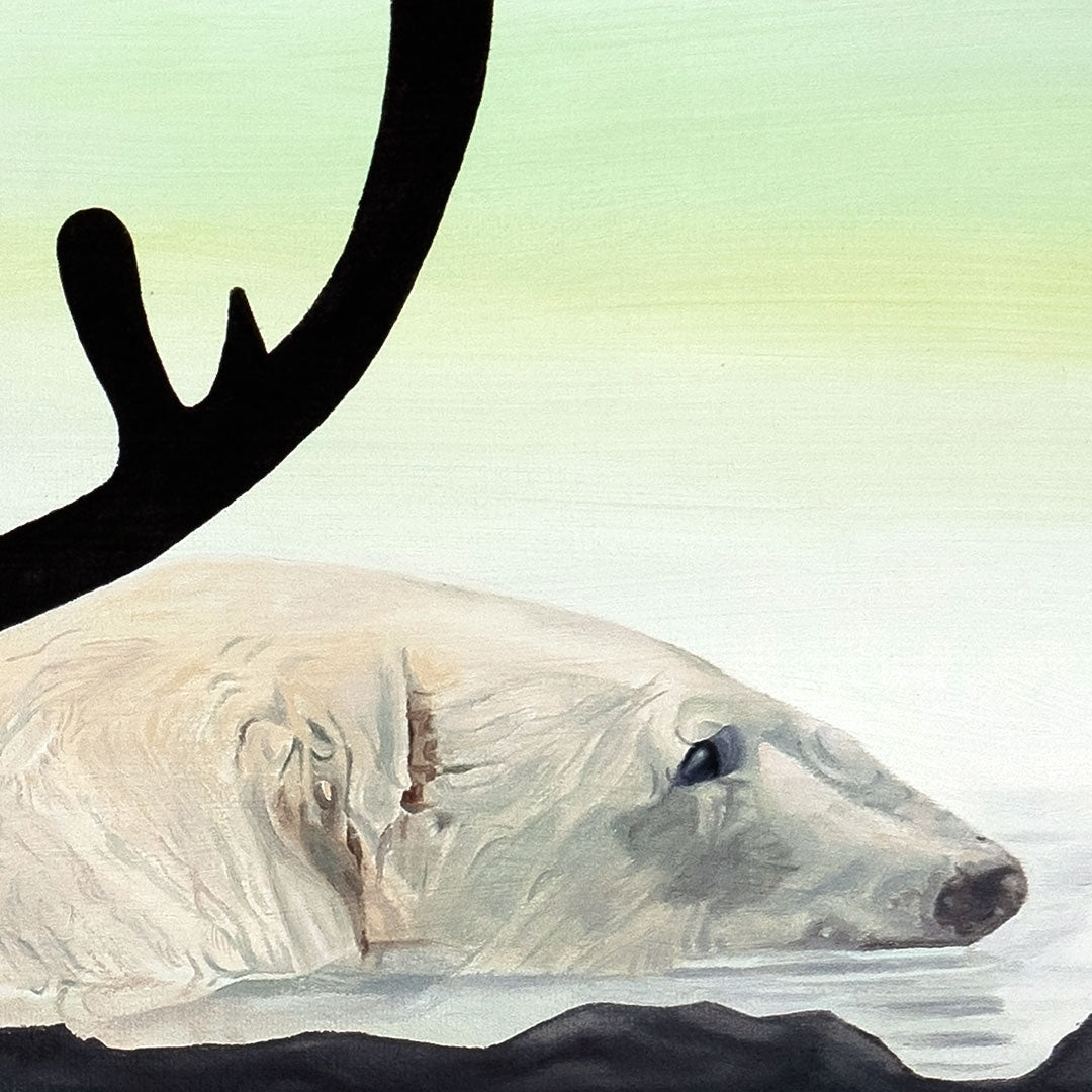 A Polar Dream - SOLD 🔴