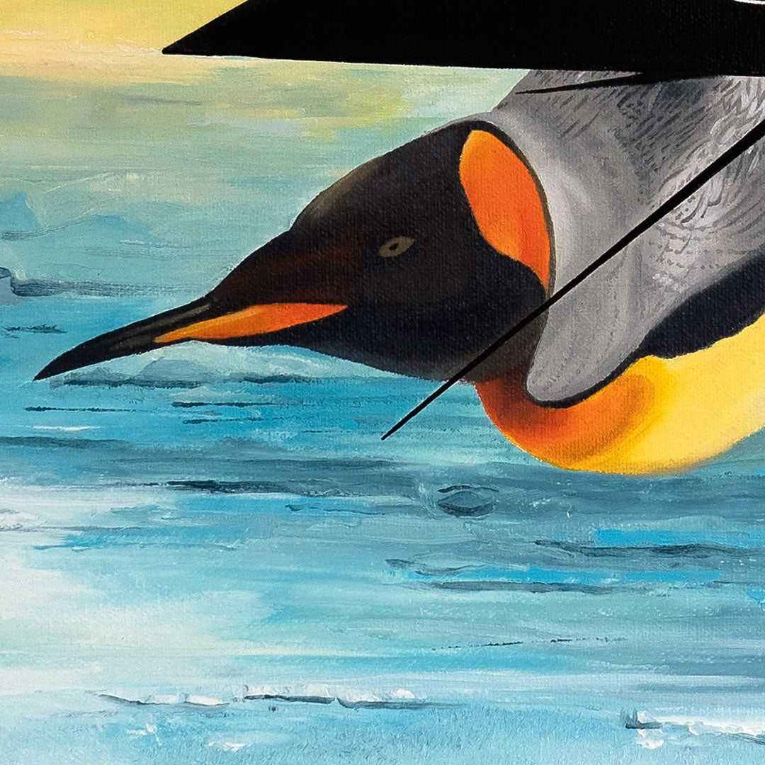 A Polar Dream - SOLD 🔴