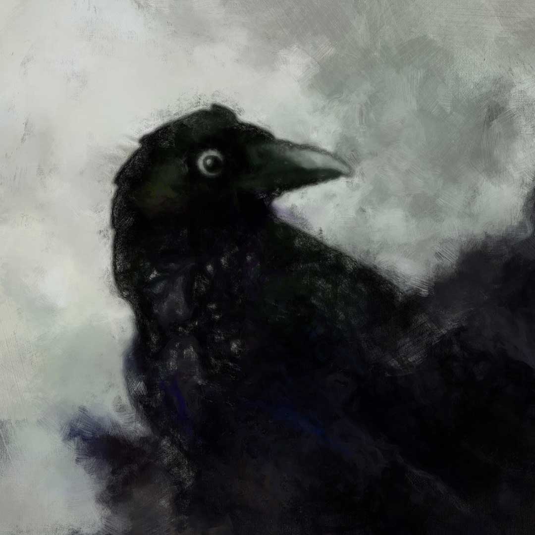 Artistic depiction of a black bird against a textured gray background