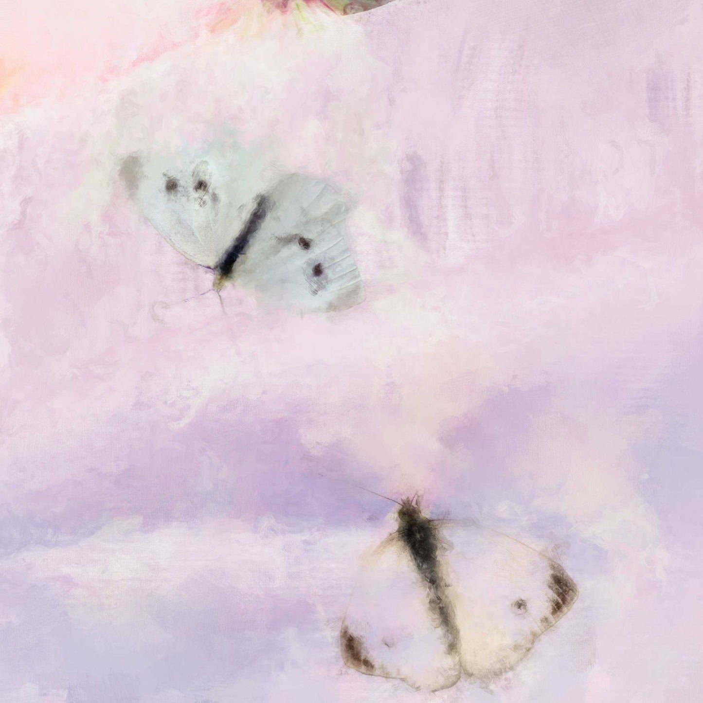 The White Horse | Fine Art Print