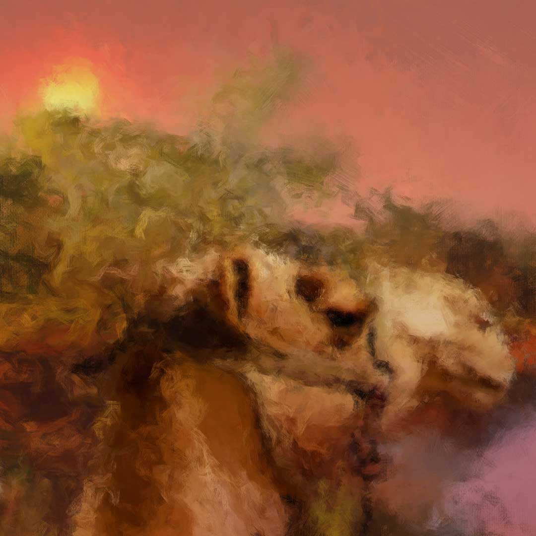 Tracks to Uluru | Fine Art Print